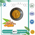 Tumeric Extract Powder 95% Curcumin Turmeric Curcumin